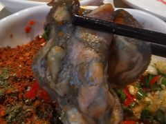 -雾都渣渣火锅(南城智汇城店)