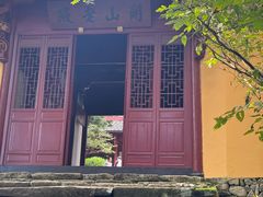 -天目山大树王景区