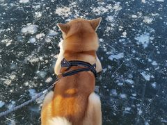 -东坝千亩湖公园
