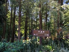 -深圳仙湖植物园