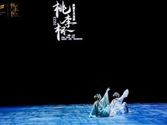 -美育儿童音乐舞蹈国际机构(浦东分校)