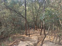 -灵岩山风景区