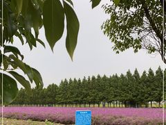 -嘉北郊野公园
