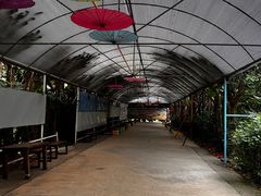 -天下先生态园农庄CS团建露营地(海鸥岛店)