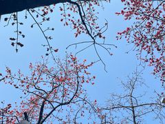 -烈士陵园(地铁站)