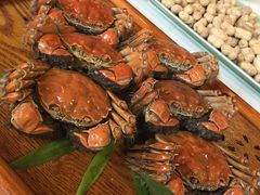 -梧桐花园餐厅(新城店)