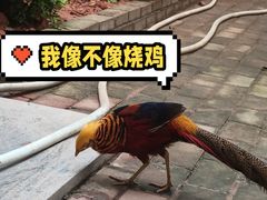 -广东茂名森林公园