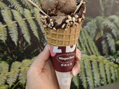 -哈根达斯(南京德基广场店)