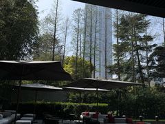 -上海璞麗酒店