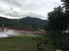 -瓷天下海丝谷