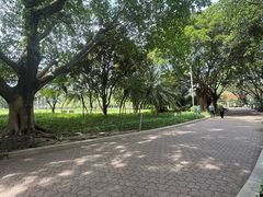 -东风公园