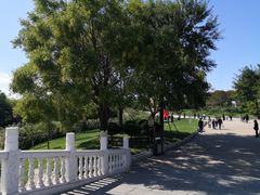 -塘沽森林公园