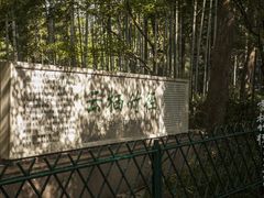 -云栖竹径