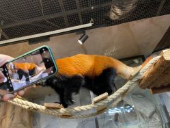 -Zoolung Zoolung动物主题公园(海信广场店)