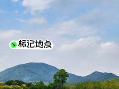 -风云岭森林公园