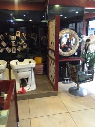 -红人馆造型十添