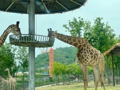 -南京金牛湖风景区