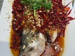 -杨氏青龙虾·羊蝎子(珠江路店)