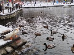 -水磨沟公园