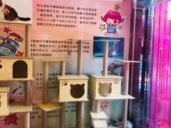 -猫咪博物馆(顶澳仔猫街店)