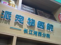 -瑞派长江宠物医院·猫科·外科·24小时夜护(谊城公寓分院)