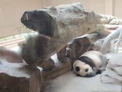 -宁波野生动物园