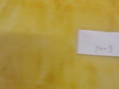 -小龙大肉面馆