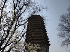 -玲珑塔公园