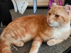 -平行世界·猫咖(首经贸店)