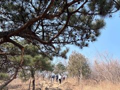 -北京西山国家森林公园