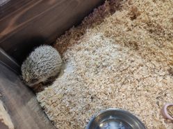 -酷嗒动物文化乐园(cutezoo西溪乐天城店)