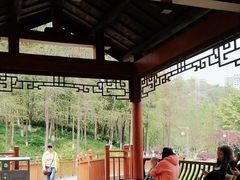 -重庆彩云湖湿地公园