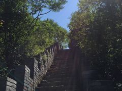 -云岫谷自然风景区