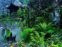 -东莞植物园