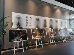 -太湖雪蚕桑文化园