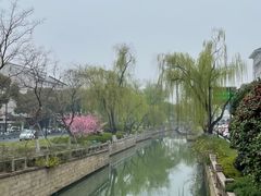 -琵琶语评弹茶馆(苏州平江路店)