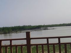 -伊犁河景区