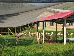 -哈尔滨北方森林动物园