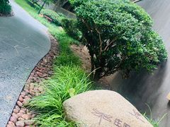 -思念果岭悦温泉