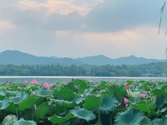 -楼外楼(西湖景区孤山路店)