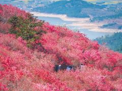 -木兰云雾山