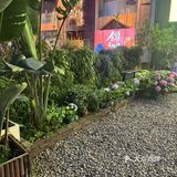 最近我挖到一家超绝大满足的南洋记东南亚餐厅