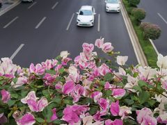 -烈士陵园(地铁站)