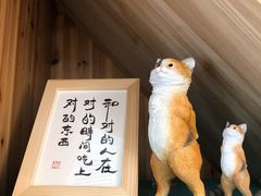-猫在这儿猫咪咖啡馆·撸猫馆