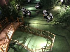 -成都泰迪熊博物馆