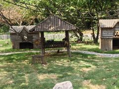 -上海野生动物园