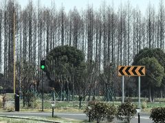-新江湾城公园