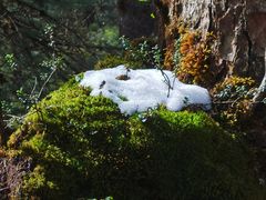 -瓦屋山景区