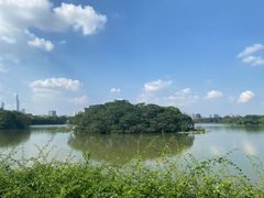 -海珠湖公园