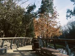 -白水寺森林公园